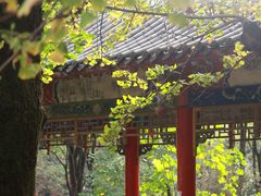 -华雅花园大酒店