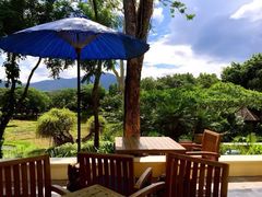 -四季酒店下午茶