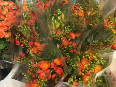 -循礼门鲜花花市(武汉循礼门店)