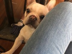 -Meowの猫咖(万家丽店)