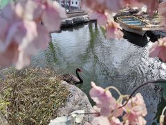 -天毓山庄·餐厅