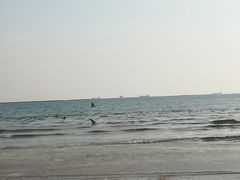 -金梦海湾浴场