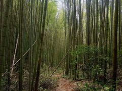 -鸡枕山