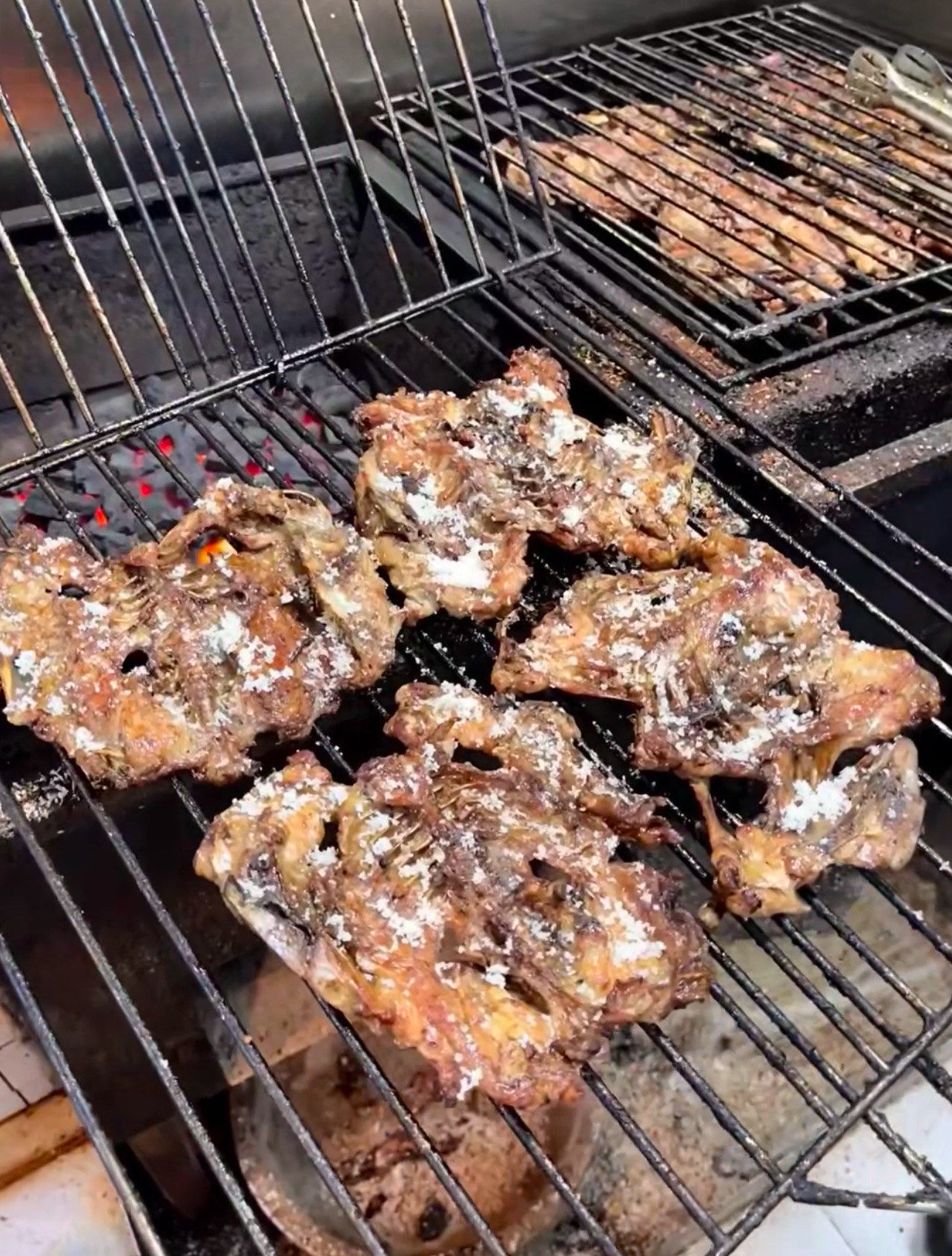 他们家的蚝好大一只 很新鲜现烤现开的生蚝个个饱满肥厚