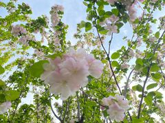 -元大都城垣遗址公园