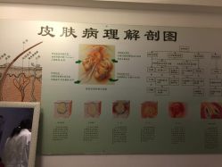 -宜肤清颜专业祛痘问题肌修护