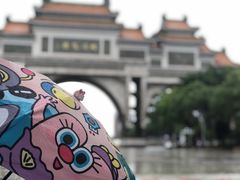 -顺峰山公园