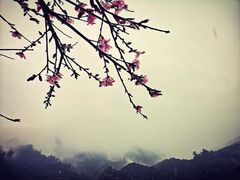 -新安江山水画廊风景区