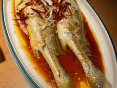 -波螺油子·海肠捞饭·青岛菜(银座店)