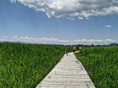 -野鸭湖国家湿地公园