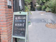 门面-有猫主题·治愈系猫咖(曾厝垵店)