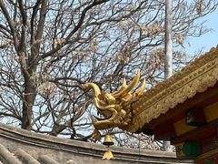 -护国法轮寺