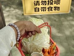 -水上乐园·欢乐世界