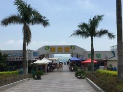 -椰风寨