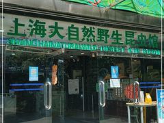 -上海大自然野生昆虫馆(东方明珠·爬宠昆虫探索中心)