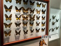 -吉林省自然博物馆