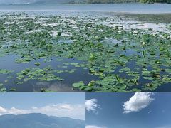 -西昌邛海湿地