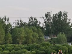 -永定河休闲森林公园