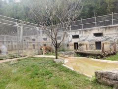 -黔灵山公园-南门售票处