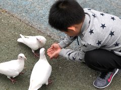 -烟台海昌鲸鲨海洋公园