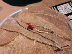 -快乐小羊·内蒙牛羊肉火锅(流花中心店)