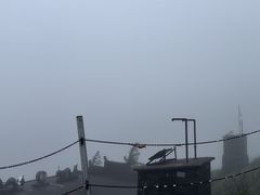 -东白山