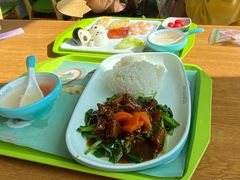 -上海野生动物园老虎餐厅