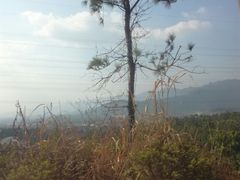 -军营村
