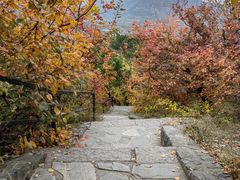 -香山公园