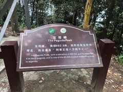-缙云山景区