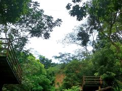 -海南槟榔谷黎苗文化旅游区