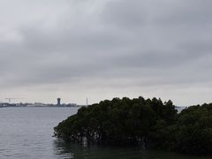 -霞山观海长廊