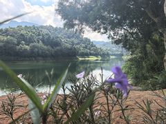 -孔雀湖生态旅游区