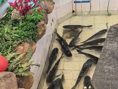 -春盛渔府(牛首山店)