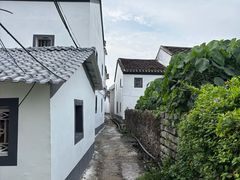 -盐洲岛