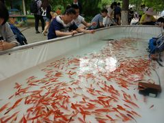 景点-沈阳南湖公园