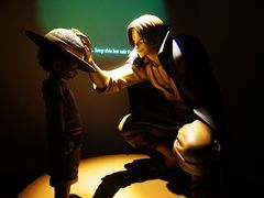 -东京塔海贼王主题公园