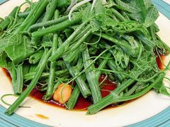 -巴依老爷新疆美食(魏公村店)
