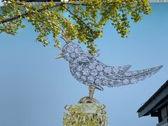 -Apple零售店(成都太古里店)