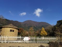 -塔川景区