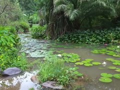 -中国科学院西双版纳热带植物园