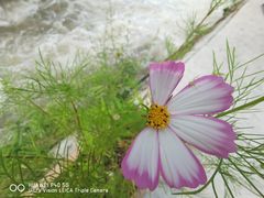 -西岭雪山大飞水景区