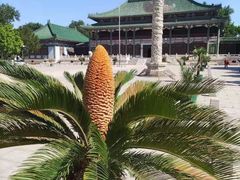 -国家图书馆·古籍馆