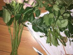 -循礼门鲜花花市(武汉循礼门店)