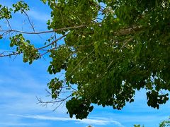 -三亚南山文化旅游区