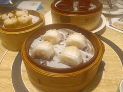 -美罗城