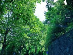 -莫干山风景区