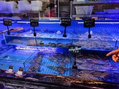 -渔民船说·北塘海鲜·天津菜·海肠捞饭(北塘古镇店)