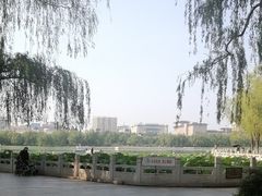 -莲花池公园