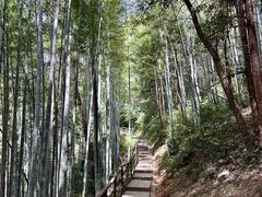 -五泄景区